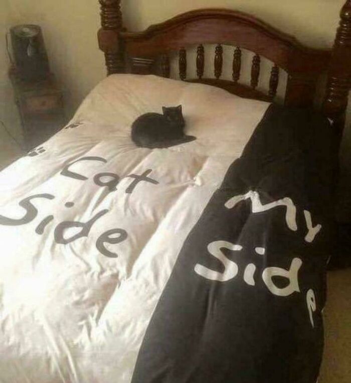 Cats Side :)