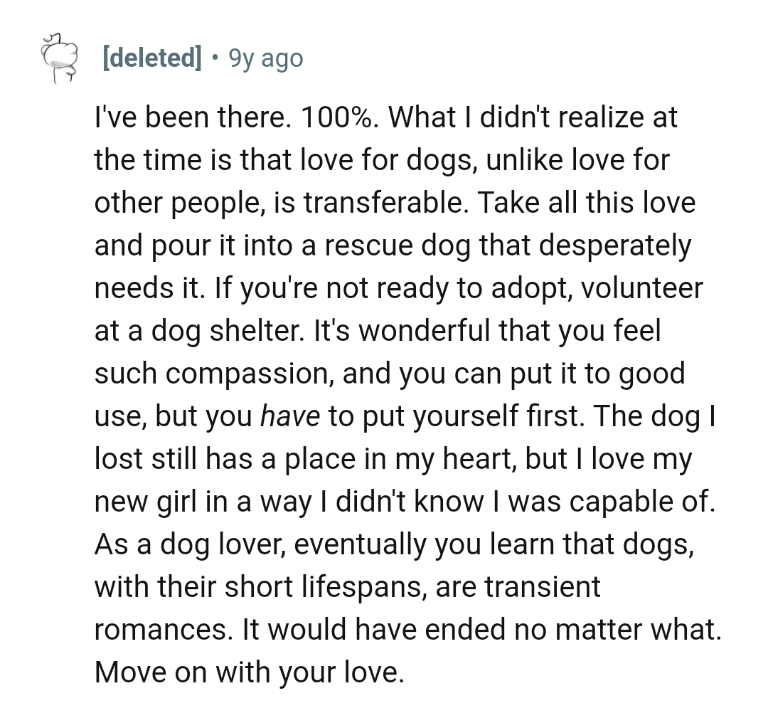 Love for dogs is actually transferable