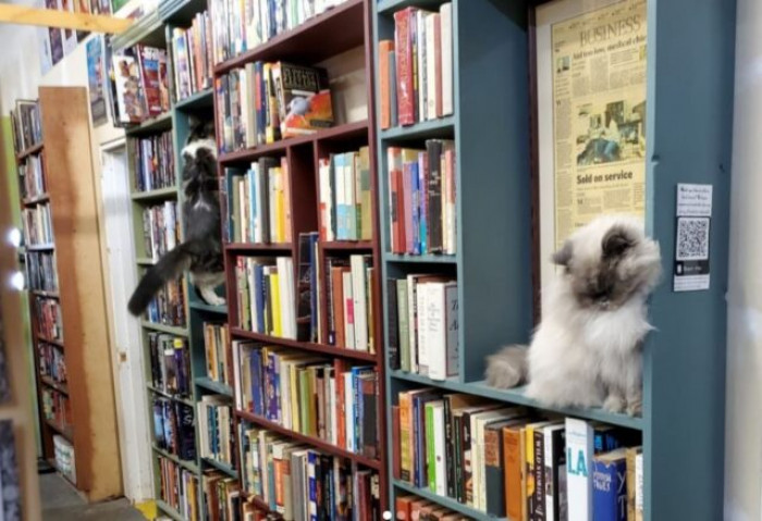 And the Owners Are Very Proud of That Fact