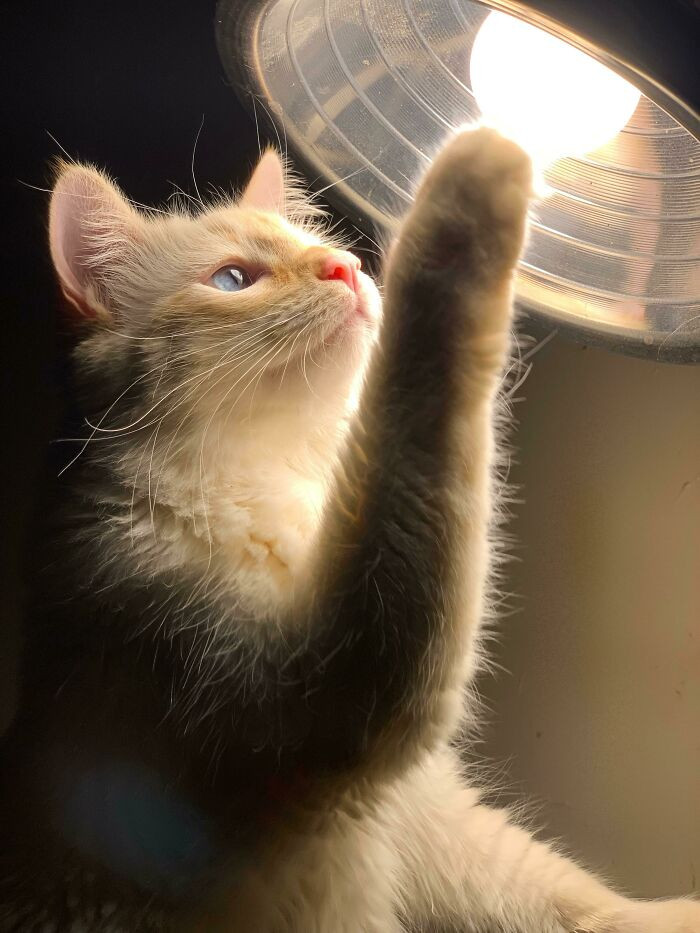 28. Icarus And The Sun