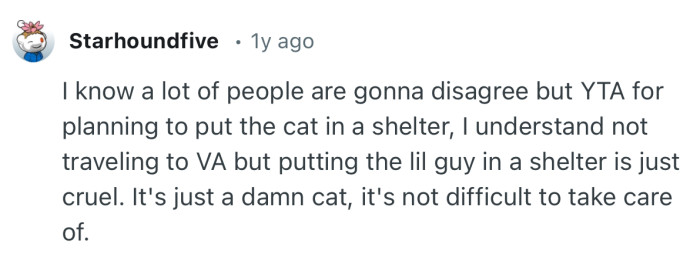“I know a lot of people are gonna disagree but YTA for planning to put the cat in a shelter.”