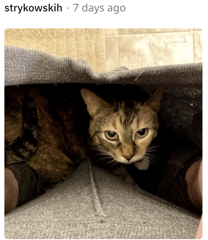 15. Make sure your poo doesn't smell so bad