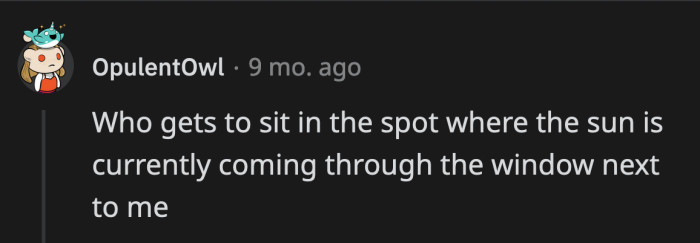 11. Fighting over their owner's attention is old news. Fighting over sunshine? That's high drama.