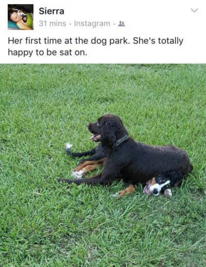 11. They make the most of every circumstance.