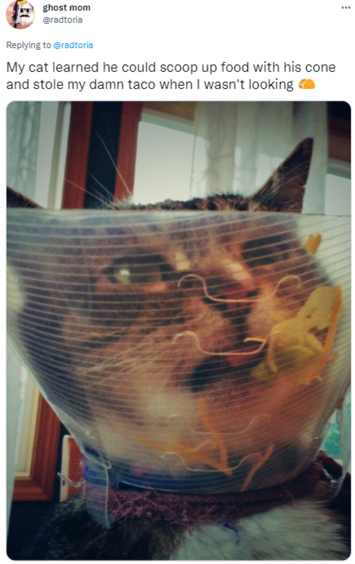 4. Resourcefulness as the main feature: