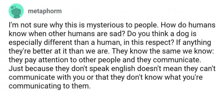 Animals are likely even better at noticing changes in body language