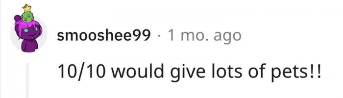 This Redditor would certainly give lots of pets, and we would too