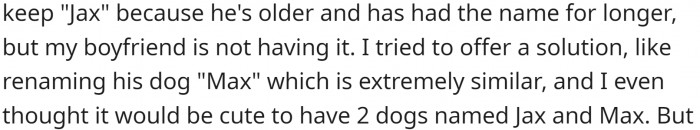 Her boyfriend suggested that one of them change their dog's name, and OP assumed her dog was safe because he is 19 years old and has become accustomed to his name. On the other hand, her boyfriend's dog is a puppy.