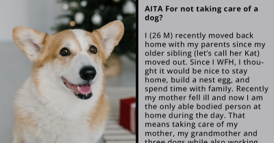 Man With Tons Of Responsibilities At Home Asks If He Would Be The A-hole If He Stops Taking Care Of His Sister's Dog
