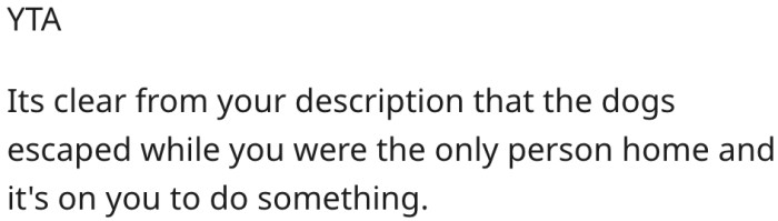14. She should chase the dogs because she is the only one at home.