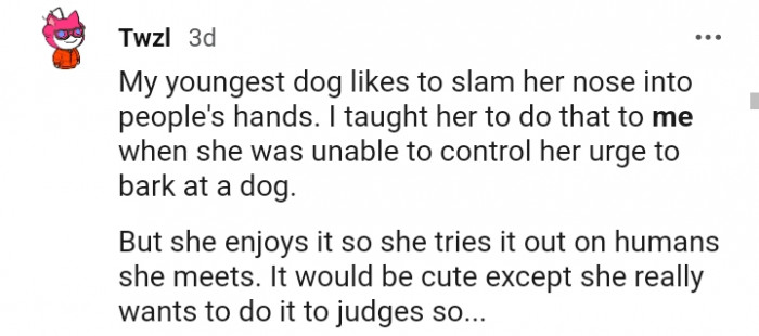 19. My dog slams her nose into people's hands