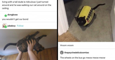 A Hilarious Collection Of Various Animal Posts With Surprising Connections, As Seen On Tumblr
