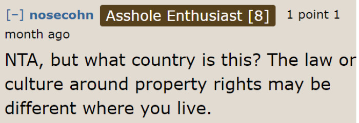 Property rights may vary by country, so the OP needs to check her local laws too.