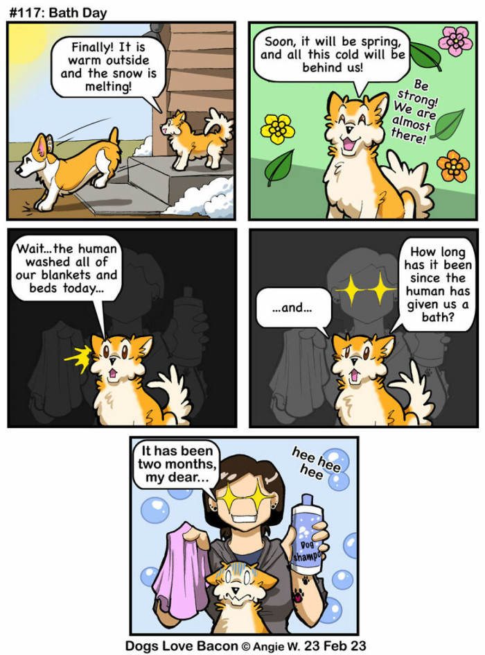 The Doggo Isn't a Fan of Baths.