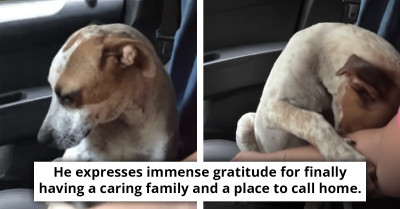 Woman Receives Heartfelt Gratitude From Abandoned Puppy She Rescued