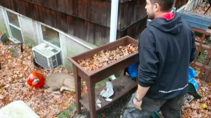 In a quick, decisive move, Frankie Floridia, the head of the rescue team, leaped into action.