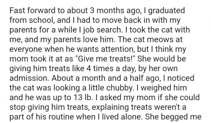 The cat meows at everyone when he wants attention