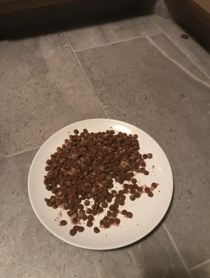 And here is a screenshot of the wet food mixed with the dry food that the cat rejected