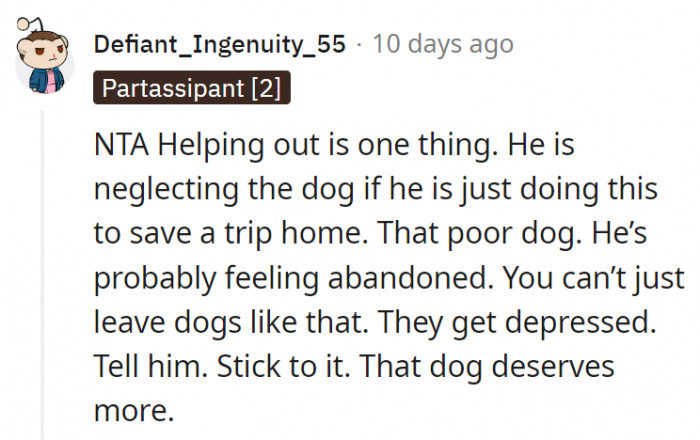 2. The roommate is basically abandoning the dog little by little
