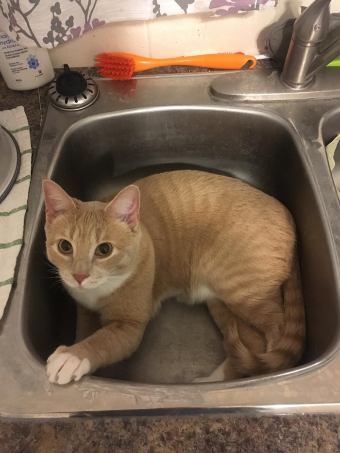 5. Uhm, hello, are you looking for me? Can I help you with something?