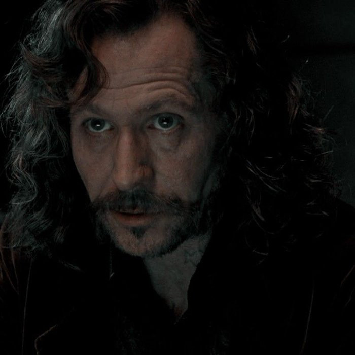 Sirius Black in a Harry Potter movie
