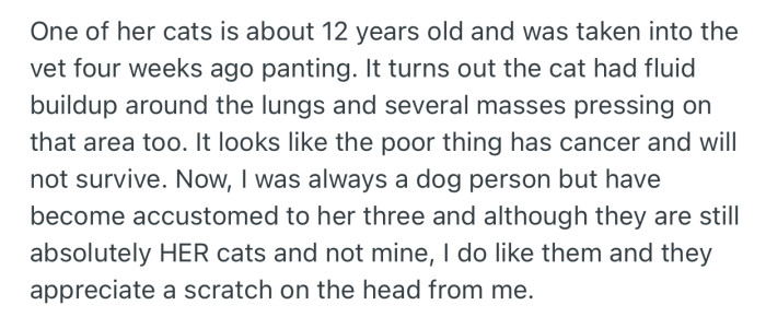 Despite OP being a dog person, he has become fund of Dee’s cats