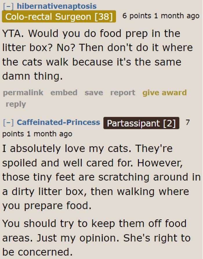 For some Redditors, letting the cats on the counter is the same as preparing food on the cat litter box.