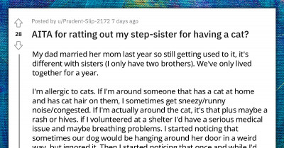 Redditor With Cat Allergy Rats Out Her Stepsister For Harboring A Stray Cat