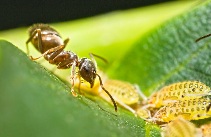 15. Just guarding my territory and stuff