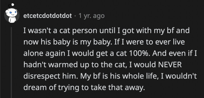 You don't have to be a cat person to be kind to a cat, especially one that is owned by your significant other
