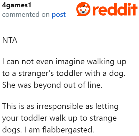 The OP politely declined, so the lady should've respected that and gone about her business with her dog.