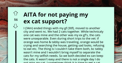Demanding Woman Pressures Ex-Boyfriend To Provide Cat Support, He Suspects She Won't Really Use Money On Cats