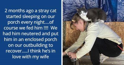 Twitter User Adopts A Stray Cat And Everyone Is Understandably Obsessed