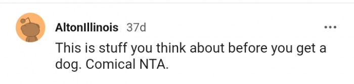 Things to think about before getting a dog