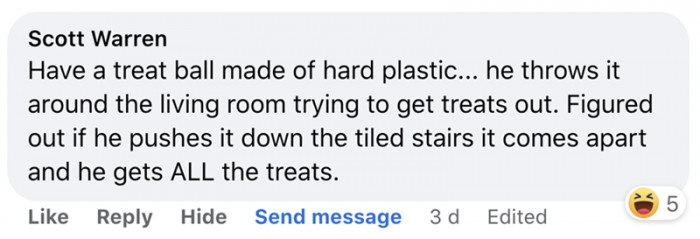 11. Give it time, cats will figure out anything