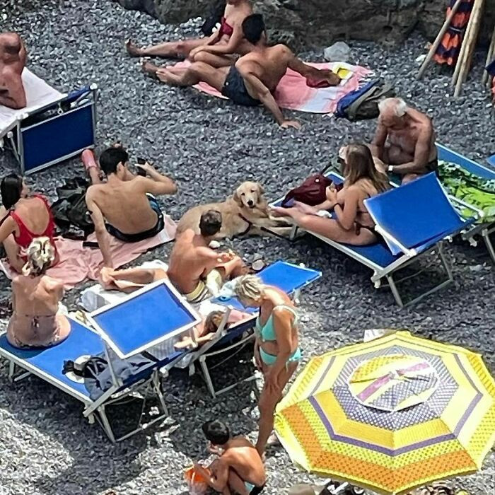 16. It feels good to chill among hoomans