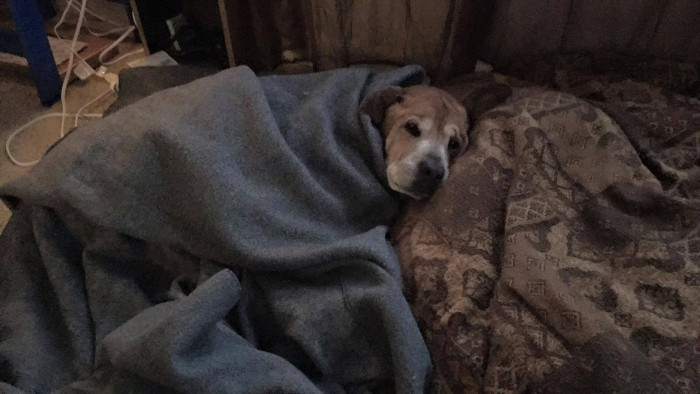 The Cutest Gift Ever