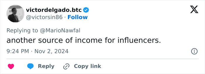 Influencer's income