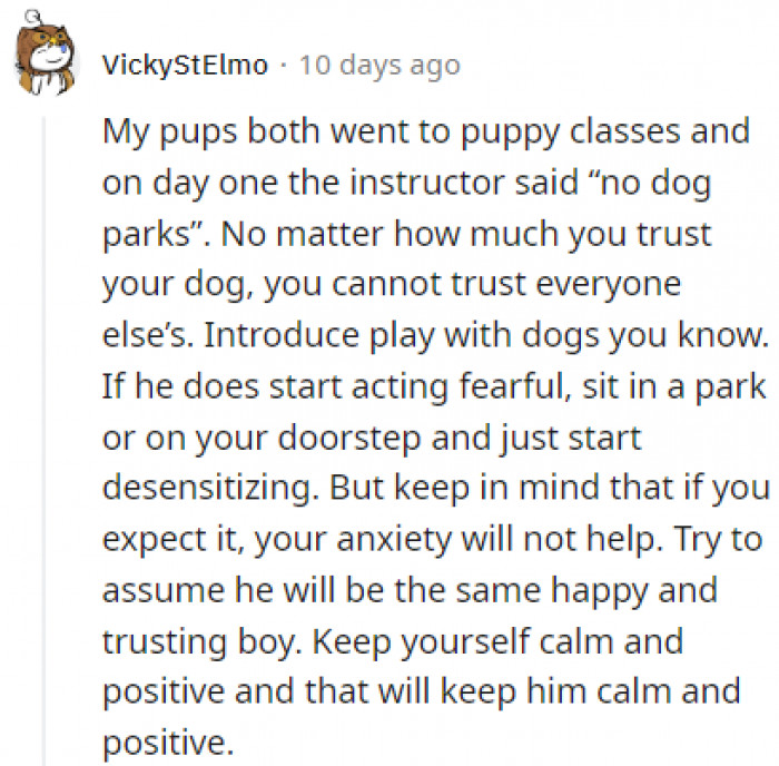 Other Redditors rushed to aid their fellow dog owner, and one piece of advice we saw multiple times is that dog parks should be avoided at all costs because they're just too dangerous.