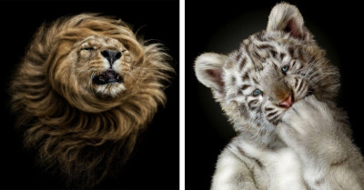 Exploring The Raw Human Emotion Behind The Siena International Photo Awards