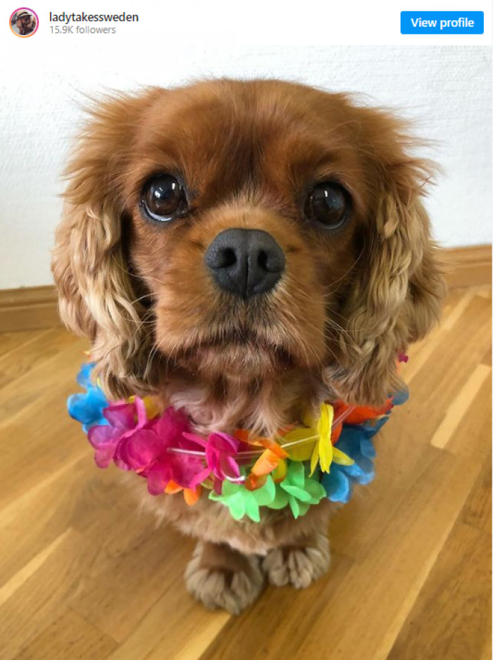 13. This lovely lady enjoys a relaxing tropical vacation.