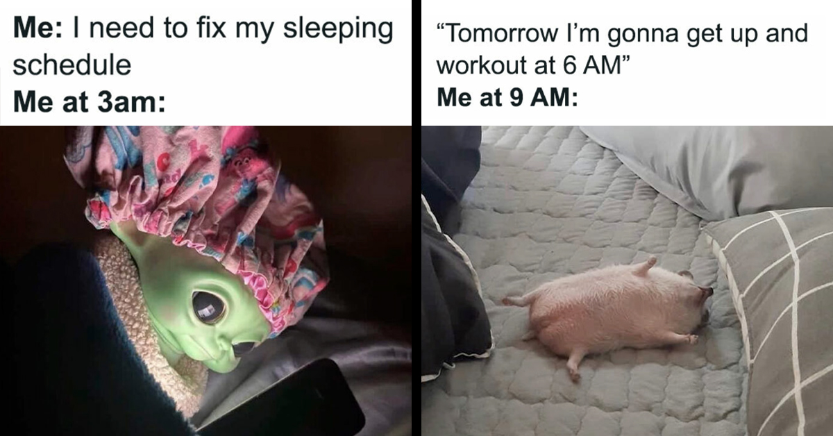 These 30 Funny Memes Is All You Need To Trash Work And Just Unwind In A Pool Of Laughter