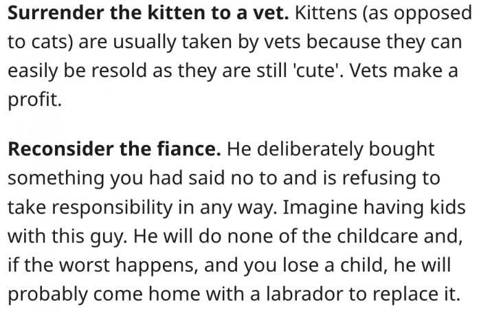 17. She should surrender the kitten to a vet and end the relationship with her fiancé.