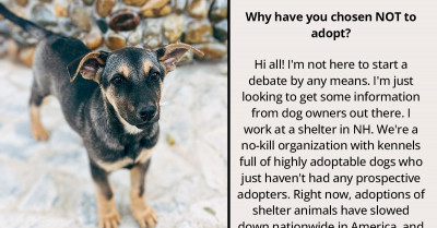 Redditors Share The Reasons Why They've Chosen Not To Adopt Dogs