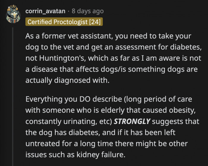 A former vet assistant replied to OP, stating that it is more likely that Little Man is diabetic and not suffering from Huntington's disease, which dogs cannot be afflicted with.