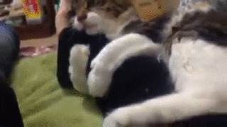 We humans can't help but give in to the clinginess of our pets.