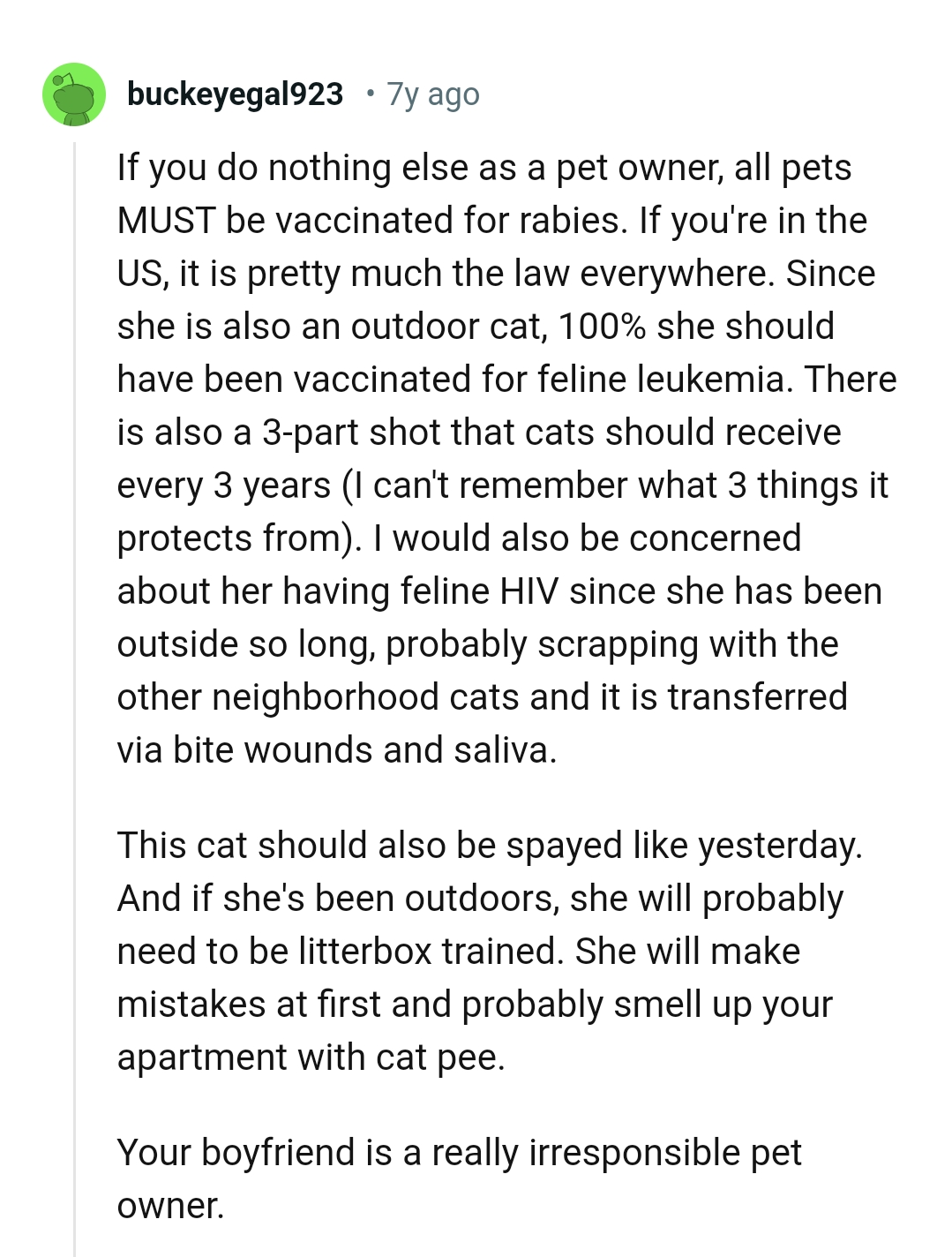She should have been vaccinated for feline leukemia