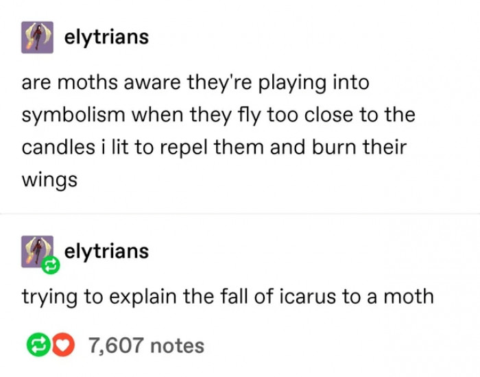 2. If only moths were aware of Icarus.
