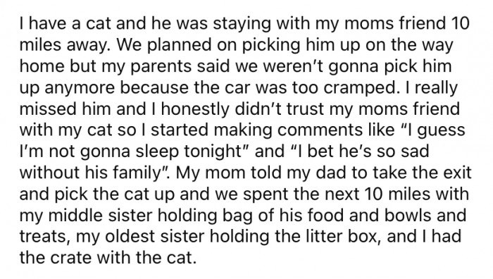 OP explained that her cat had been staying at a family friend's house while they were on holiday, and they were supposed to pick the cat up on their way home.