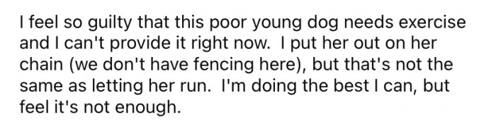 OP is trying her best but is worried that it isn't enough for the pup.